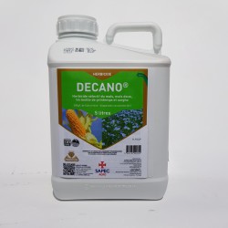 DECANO DECANO