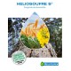 HELIOSOUFRE 