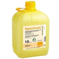 ISARD / SPECTRUM BIDON 5 L