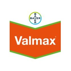 VALMAX BIDON DE 10 L