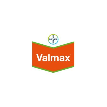 VALMAX BIDON DE 10 L