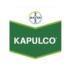 KAPULCO BIDON 5L