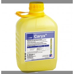 CARYX BIDON DE 5 L