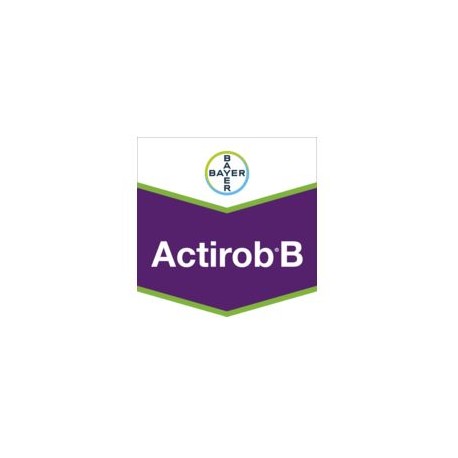 ACTIROB B 