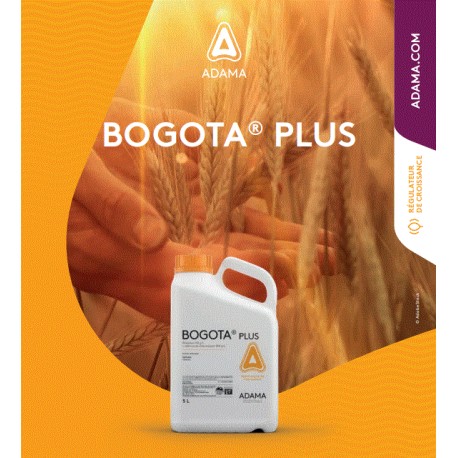 BOGOTA + BIDON DE 5 L
