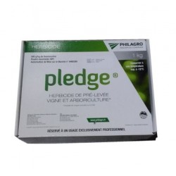 PLEDGE 1 KG