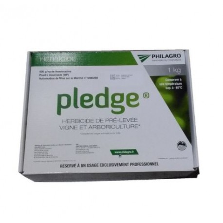 PLEDGE 1 KG 