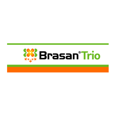 BRASAN TRIO 