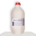 Mint Cream 2,5L