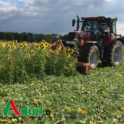 TOURNESOL FOURRAGER PEREDOVIC 10 KG