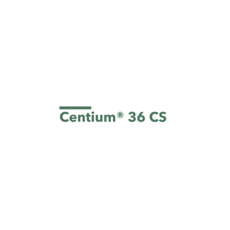 CENTIUM 36 CS