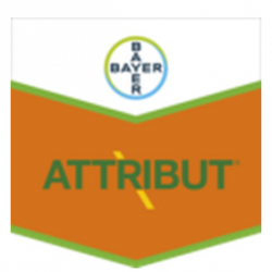 ATTRIBUT BOITE 300 GRS