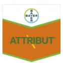 ATTRIBUT BOITE 300 GRS