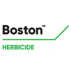 BOSTON BIDON 5L