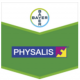 PHYSALIS 