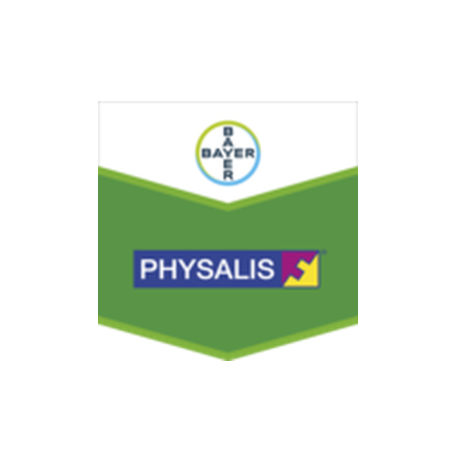 PHYSALIS 