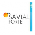 SAVIAL FORTE BIDON 10 L