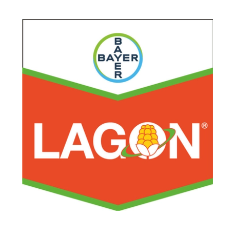 LAGON
