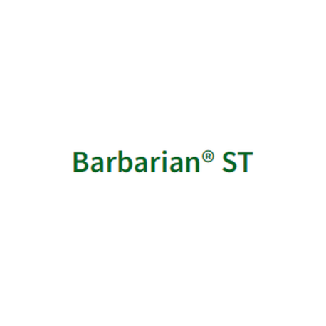 BARBARIAN ST