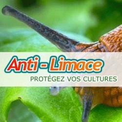 LIMARION B ANTILIMACES SAC 20 KG