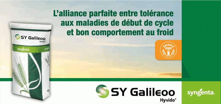 Orge Hybride SY Galileoo