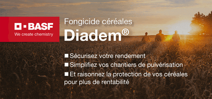 BASF Diadem Fongicide Céréales