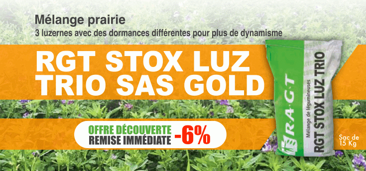 Promotion RGT STOX LUZ TRIO SAS GOLD