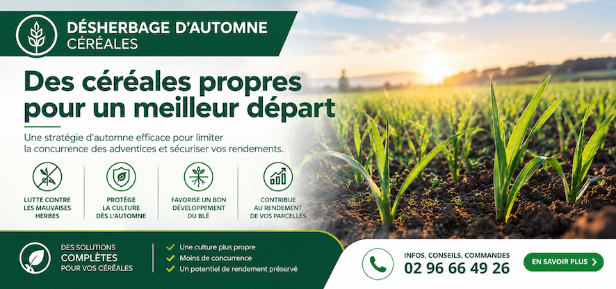 D&eacute;sherbage d'automne c&eacute;r&eacute;ales, appelez-nous pour obtenir les tarifs