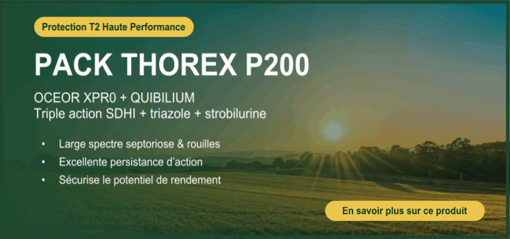 Pack THOREX P200 : protection T2 haute performance