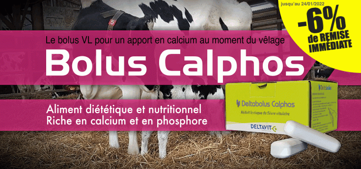 Bolus Calphos : -6% immédiatement sur le bolus VL pour un apport en calcium au moment du vêlage.