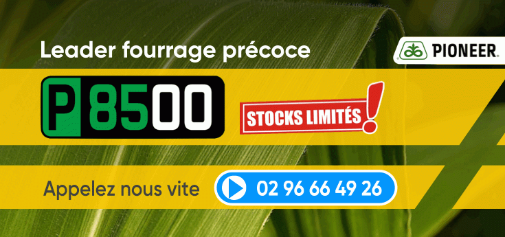 Réservez vos semences de maïs au meilleur prix chez Adiel France : Pioneer p8500