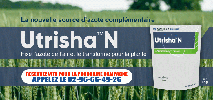 Découvrez Utrisha N la nouvelle source d'azote complémentaire