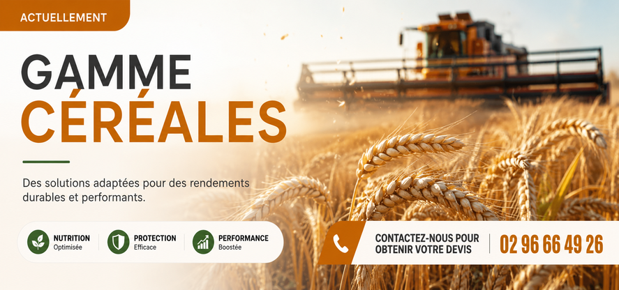 Commandez vite vos semences de c&eacute;r&eacute;ales au meilleur prix chez Adiel France.