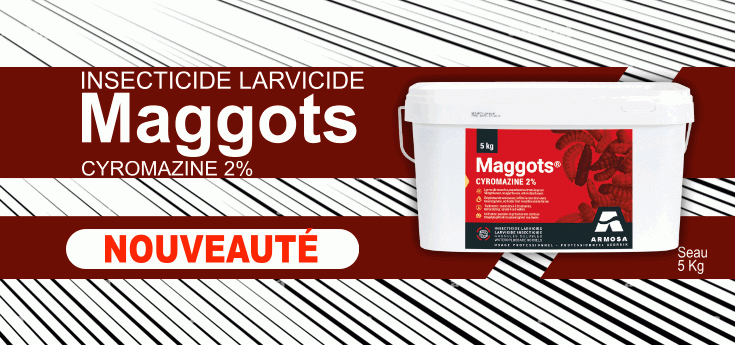 Maggots larvicide