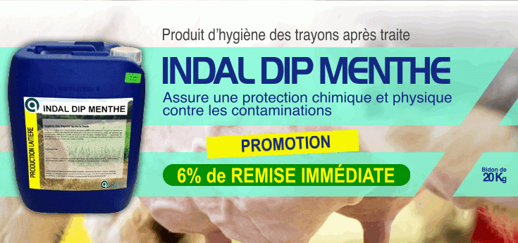 Nouveauté : Indal DIP Menthe, produit d'hygiène après traite.