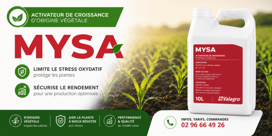mysa