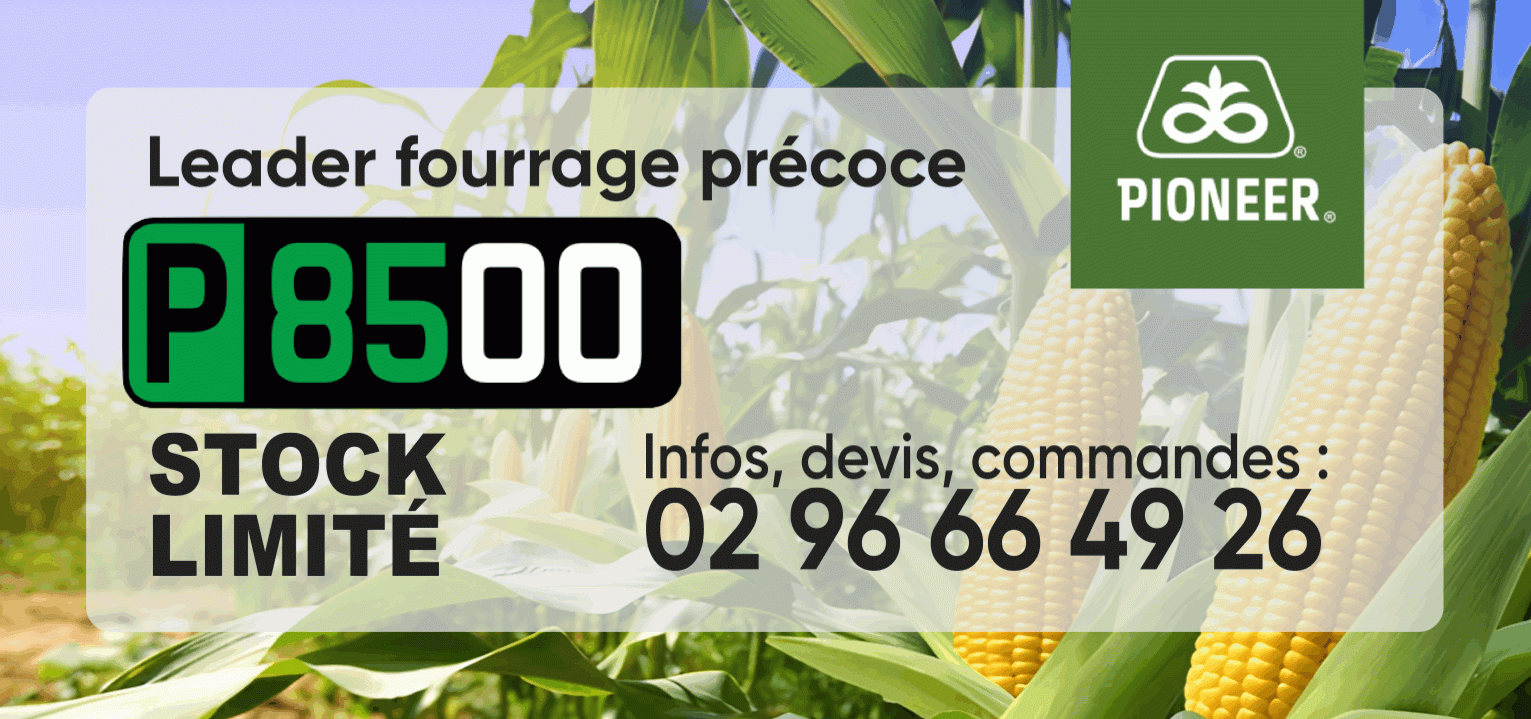 R&eacute;servez vos semences de ma&iuml;s au meilleur prix chez Adiel France : Pioneer p8500