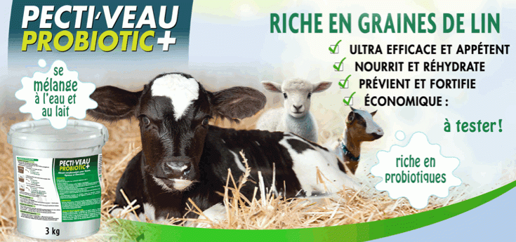 Pectiveau chez Adiel France