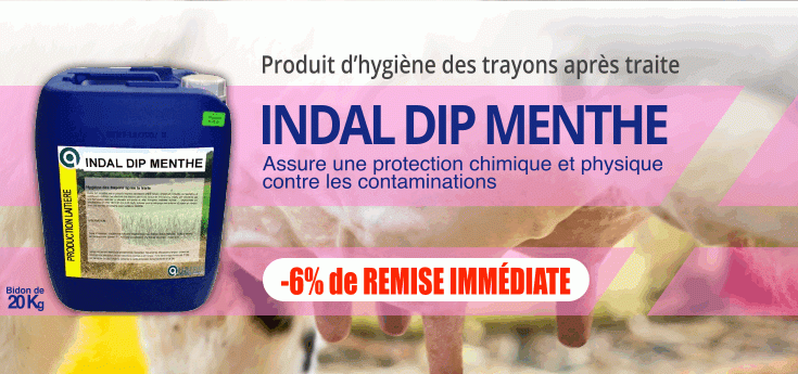 promotion Indal DIP Menthe, produit d'hygiène après traite.