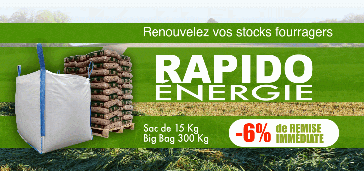 Rapido Énergie en promotion chez Adiel France