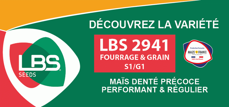Semence de ma&iuml;s LBS 2941